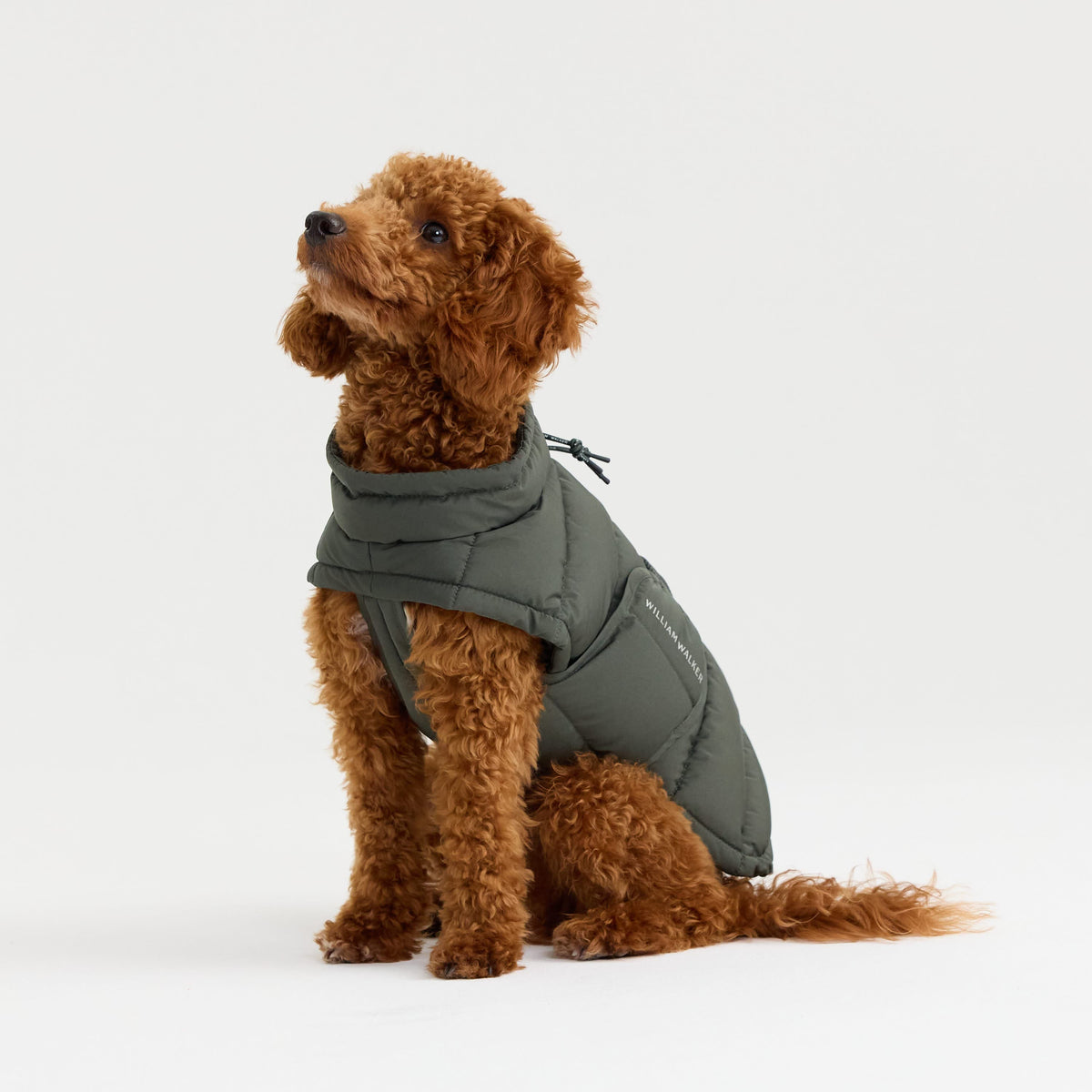 William Walker Manteau d'hiver chaud pour chien Alpine