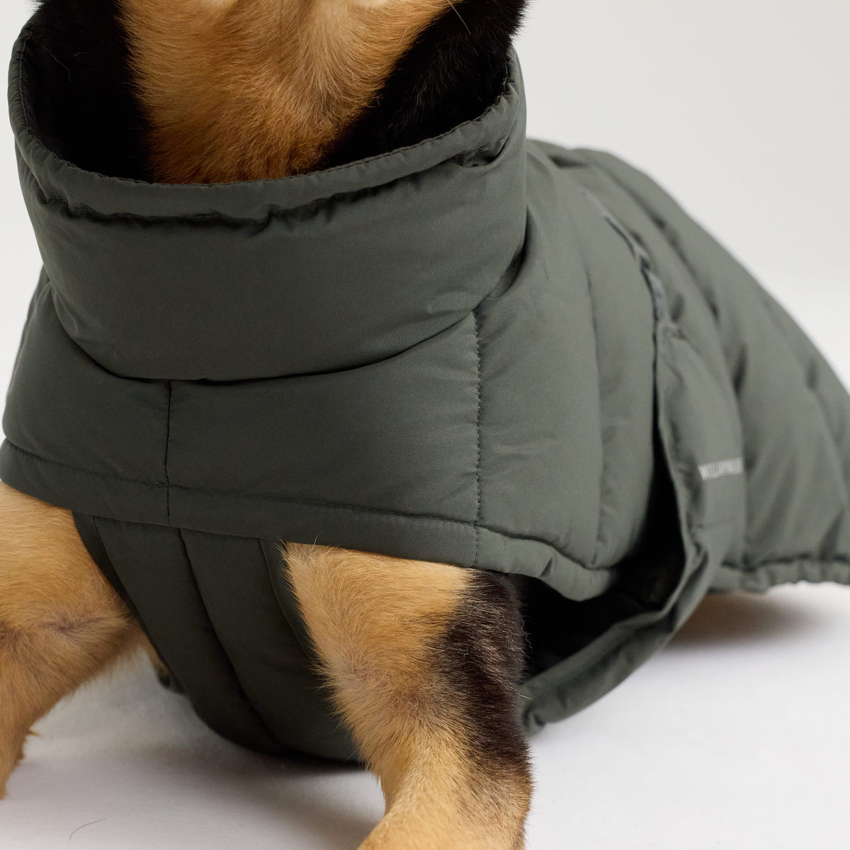William Walker Manteau d'hiver chaud pour chien Alpine