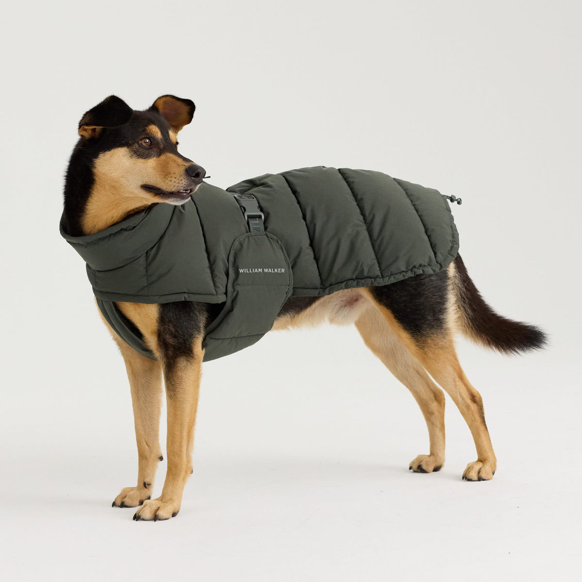 William Walker Manteau d'hiver chaud pour chien Alpine