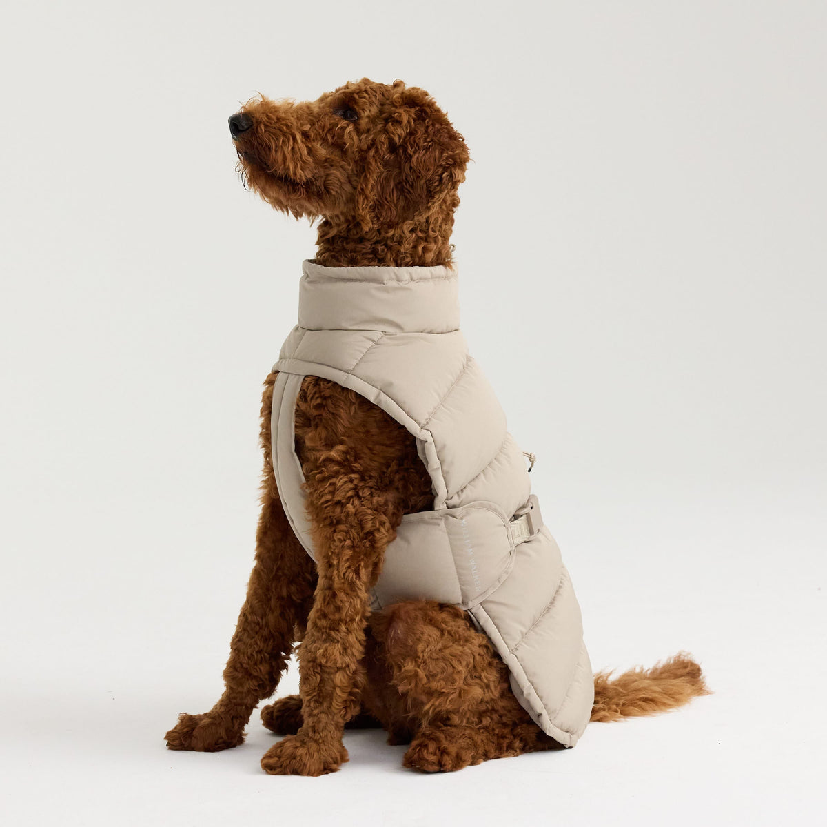 William Walker Manteau d'hiver chaud pour chien Alpine
