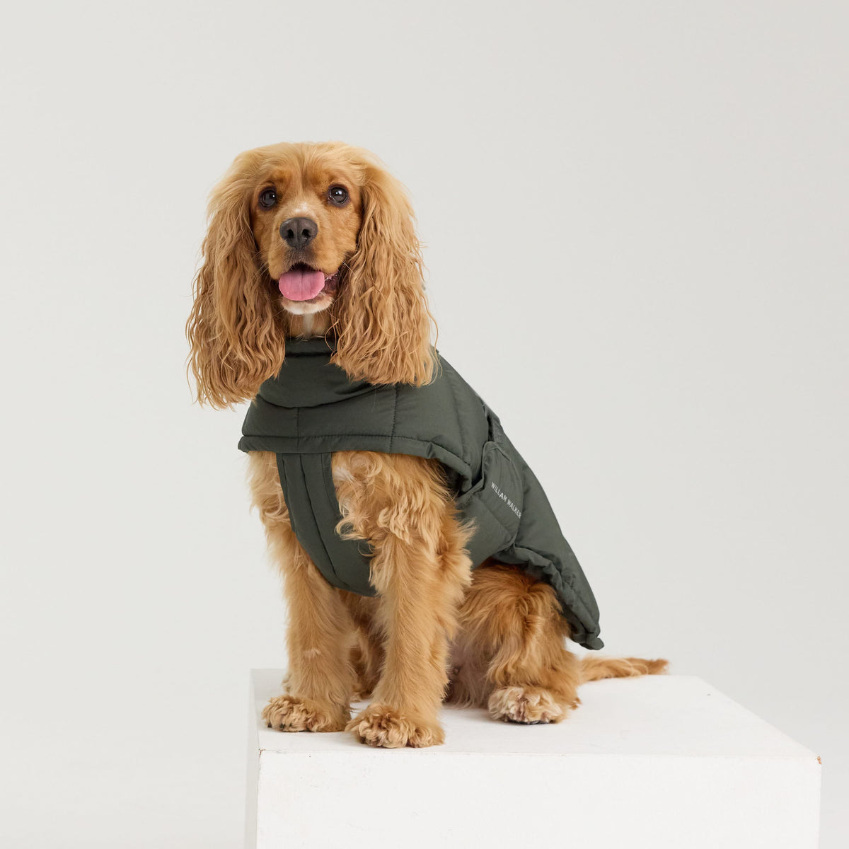 William Walker Manteau d'hiver chaud pour chien Alpine