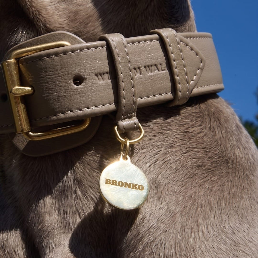 Médaille chien ronde en laiton personnalisable