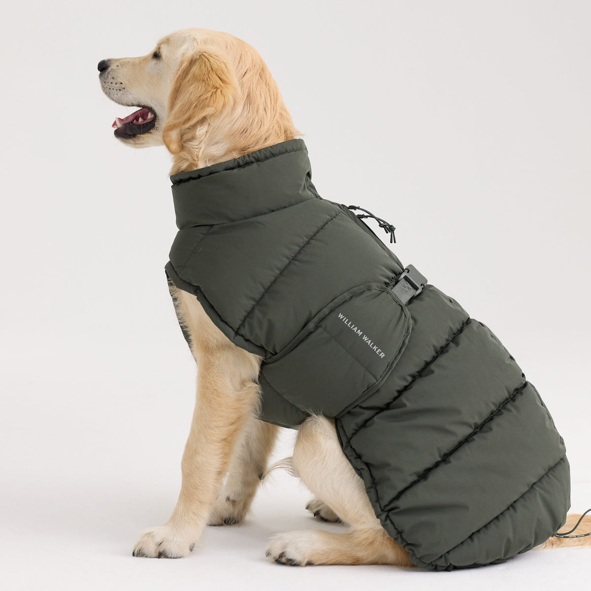 William Walker Manteau d'hiver chaud pour chien Alpine