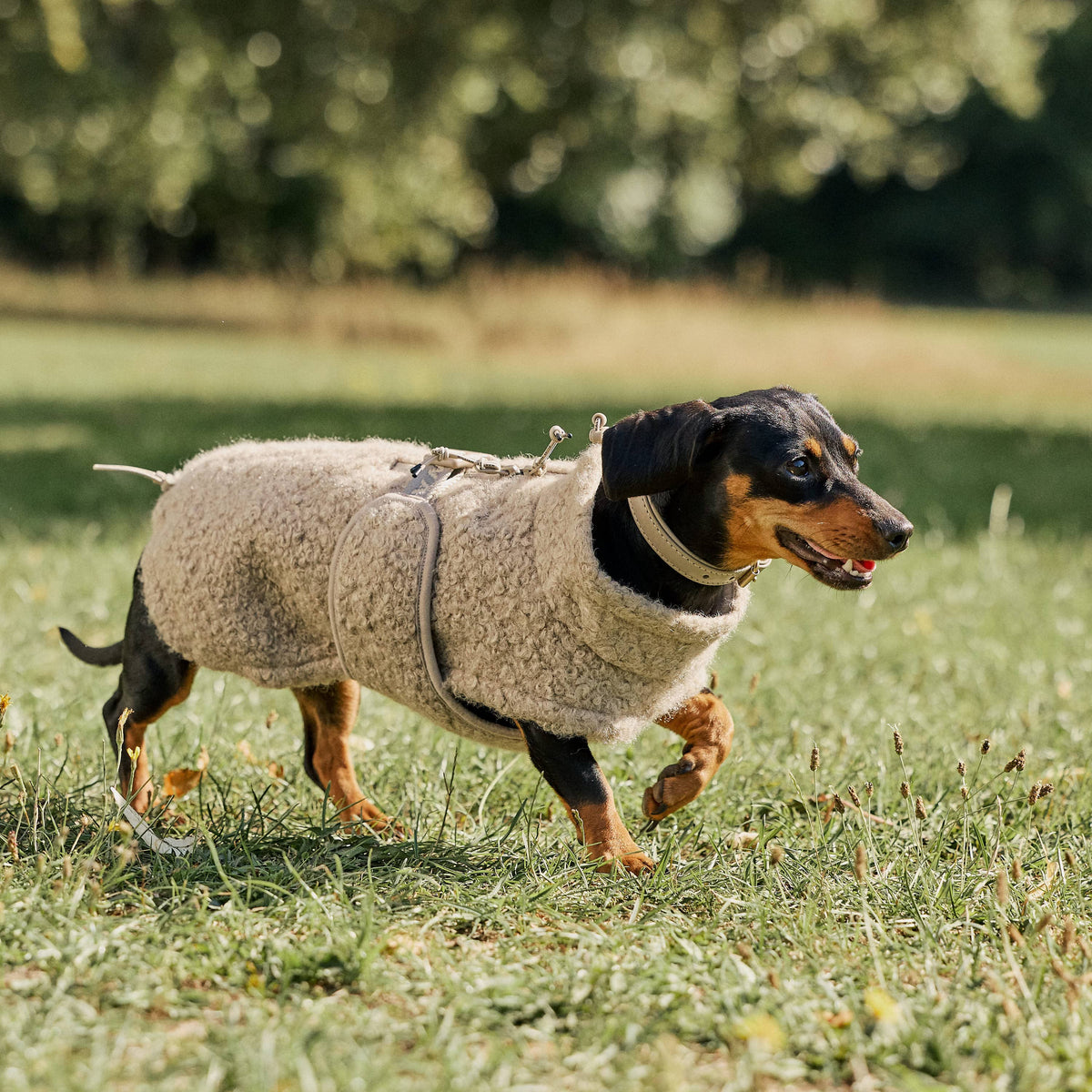 William Walker Knusse fleece hondenjas Cozy voor teckels