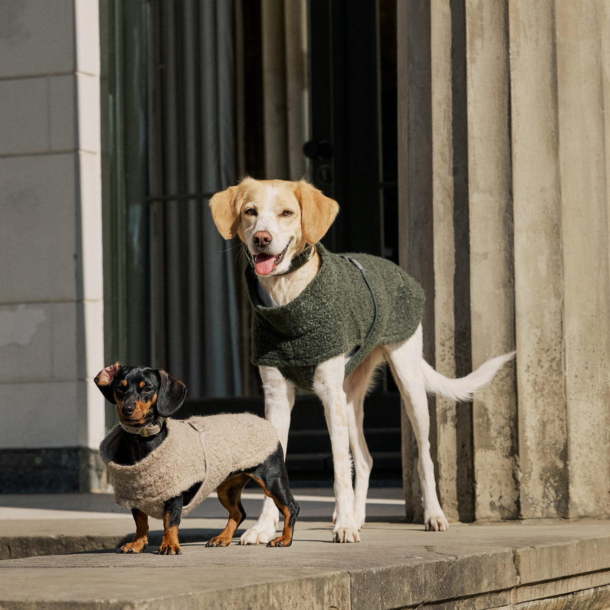 William Walker Knusse fleece hondenjas Cozy voor teckels