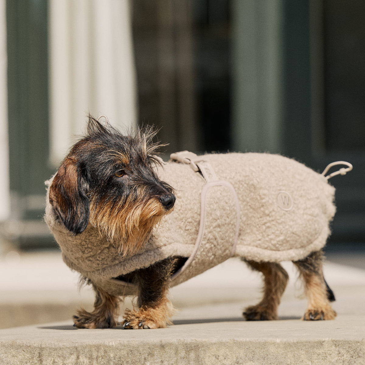 William Walker Knusse fleece hondenjas Cozy voor teckels