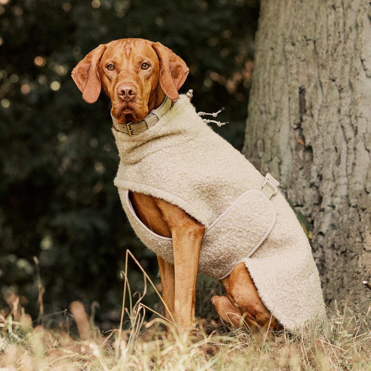 William Walker Knusse fleece hondenjas Cozy