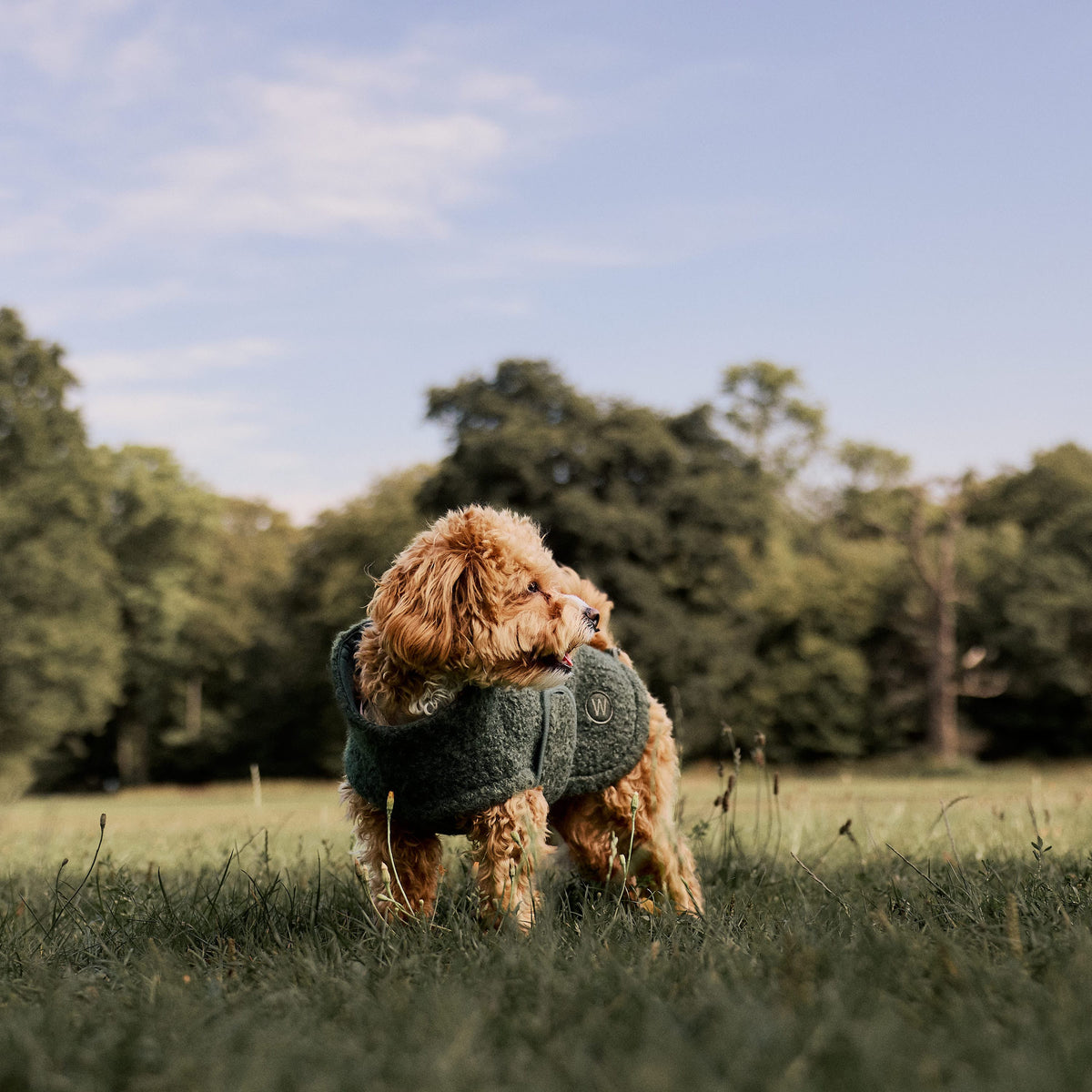 William Walker Knusse fleece hondenjas Cozy