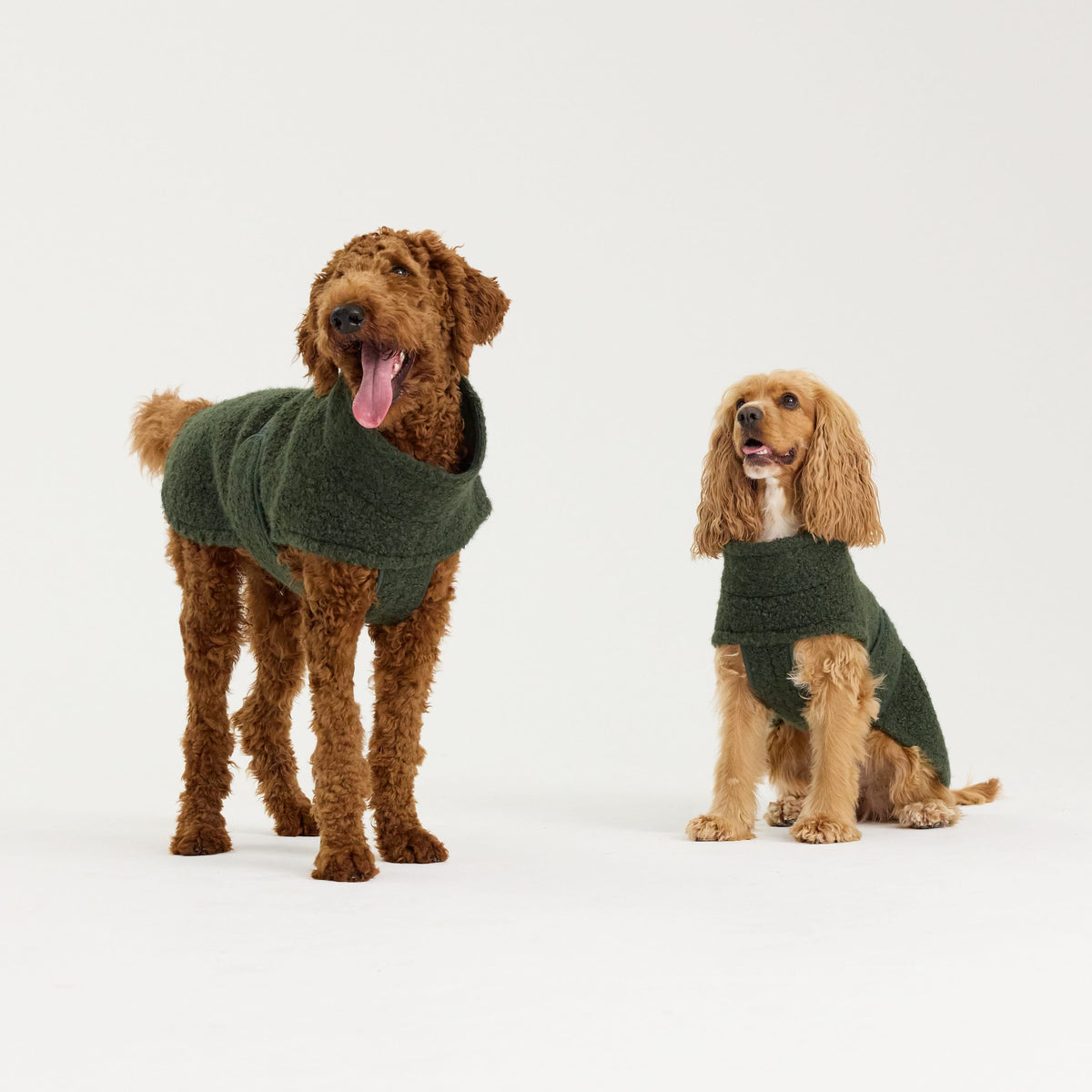 William Walker Manteau polaire douillet pour chien Cozy Dark Moss / 1