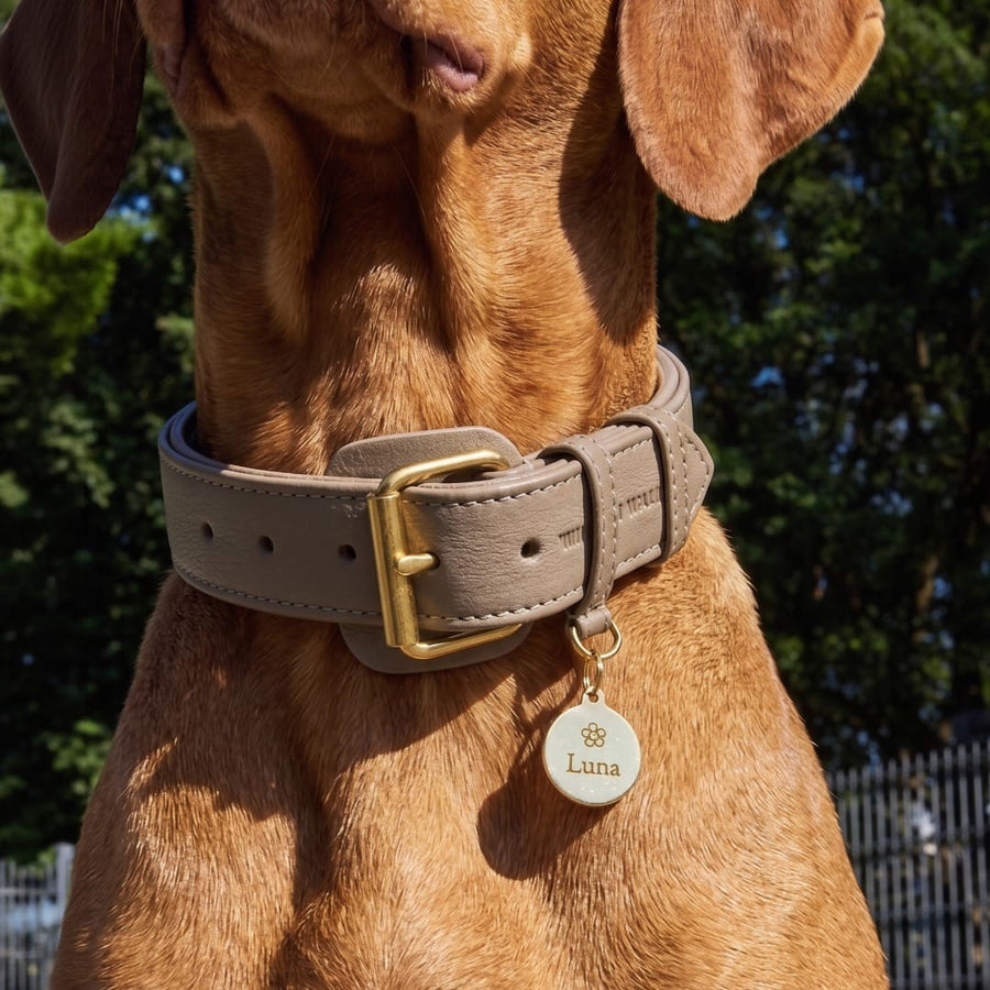 Médaille chien ronde en laiton personnalisable