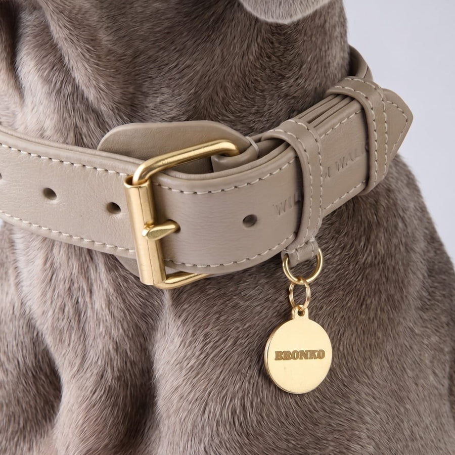 Médaille chien ronde en laiton personnalisable