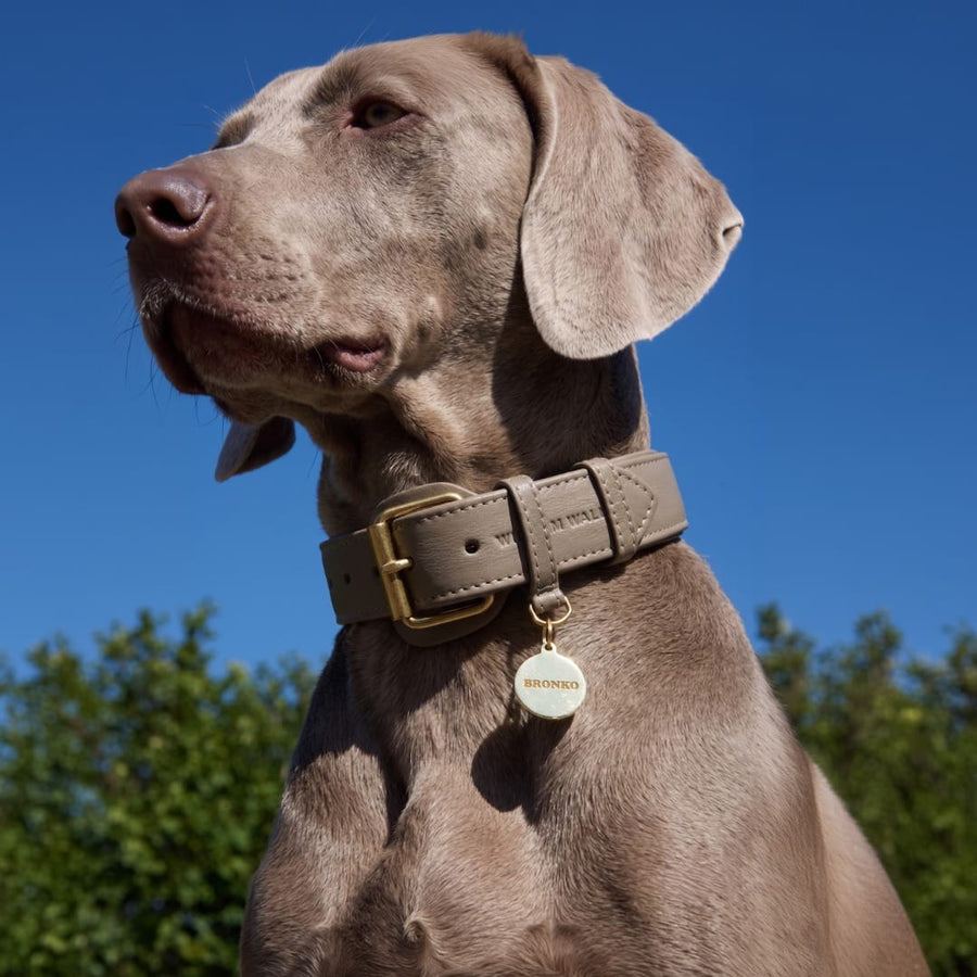 Médaille chien ronde en laiton personnalisable