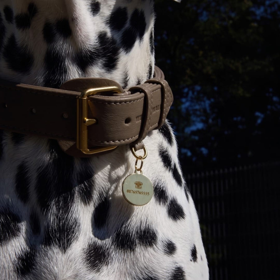 Médaille chien ronde en laiton personnalisable