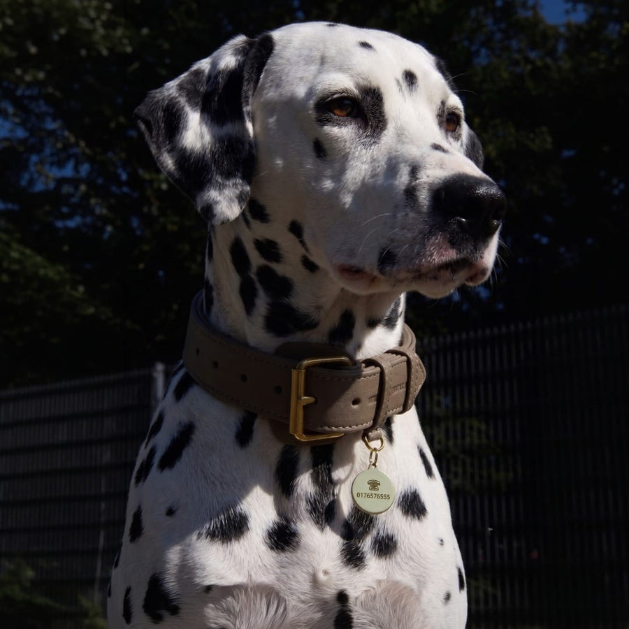 Médaille chien ronde en laiton personnalisable