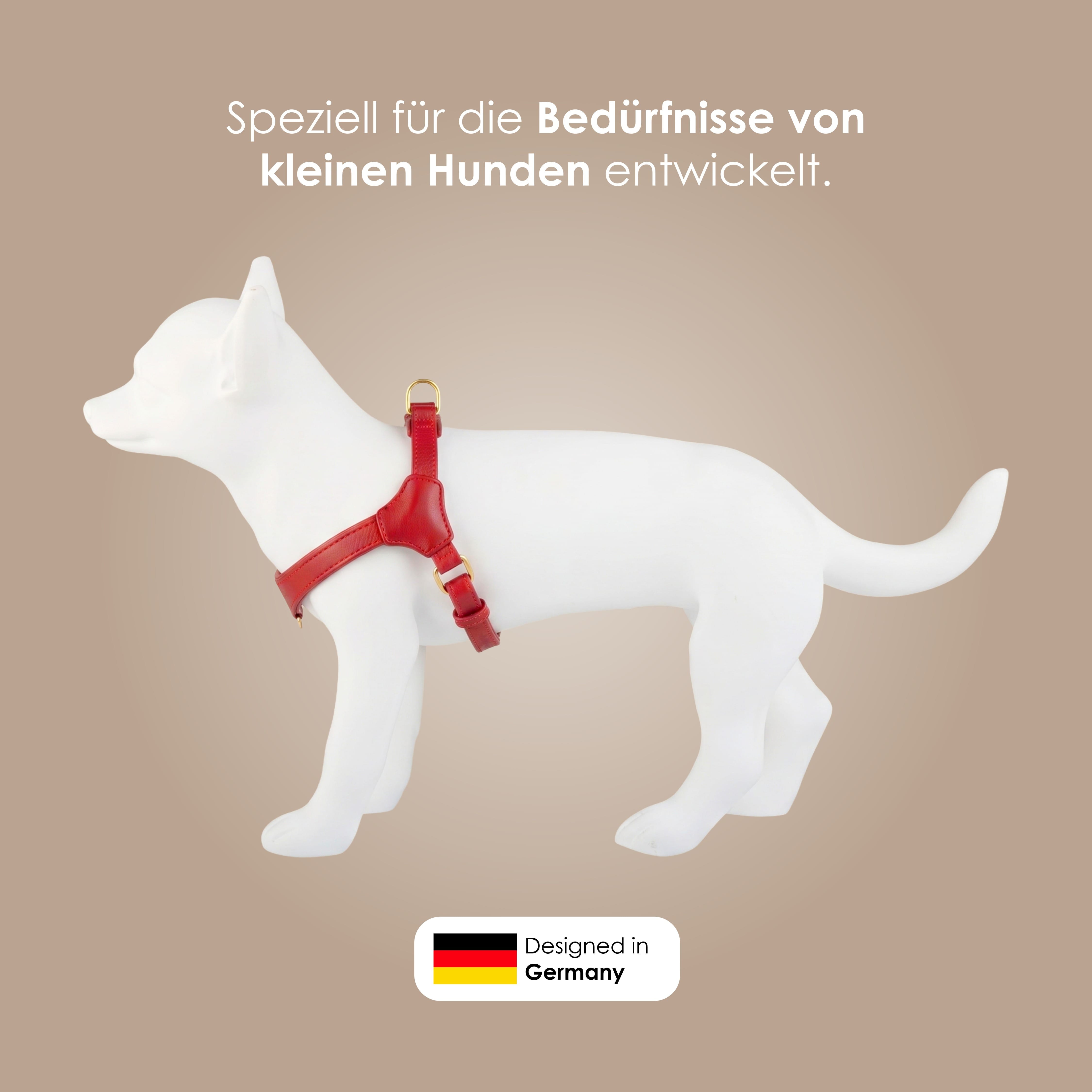 William Walker Step-In Leder Geschirr Pico für kleine Hunde