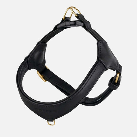 William Walker Step-In Leder Geschirr Pico für kleine Hunde Noir (schwarz) / 1