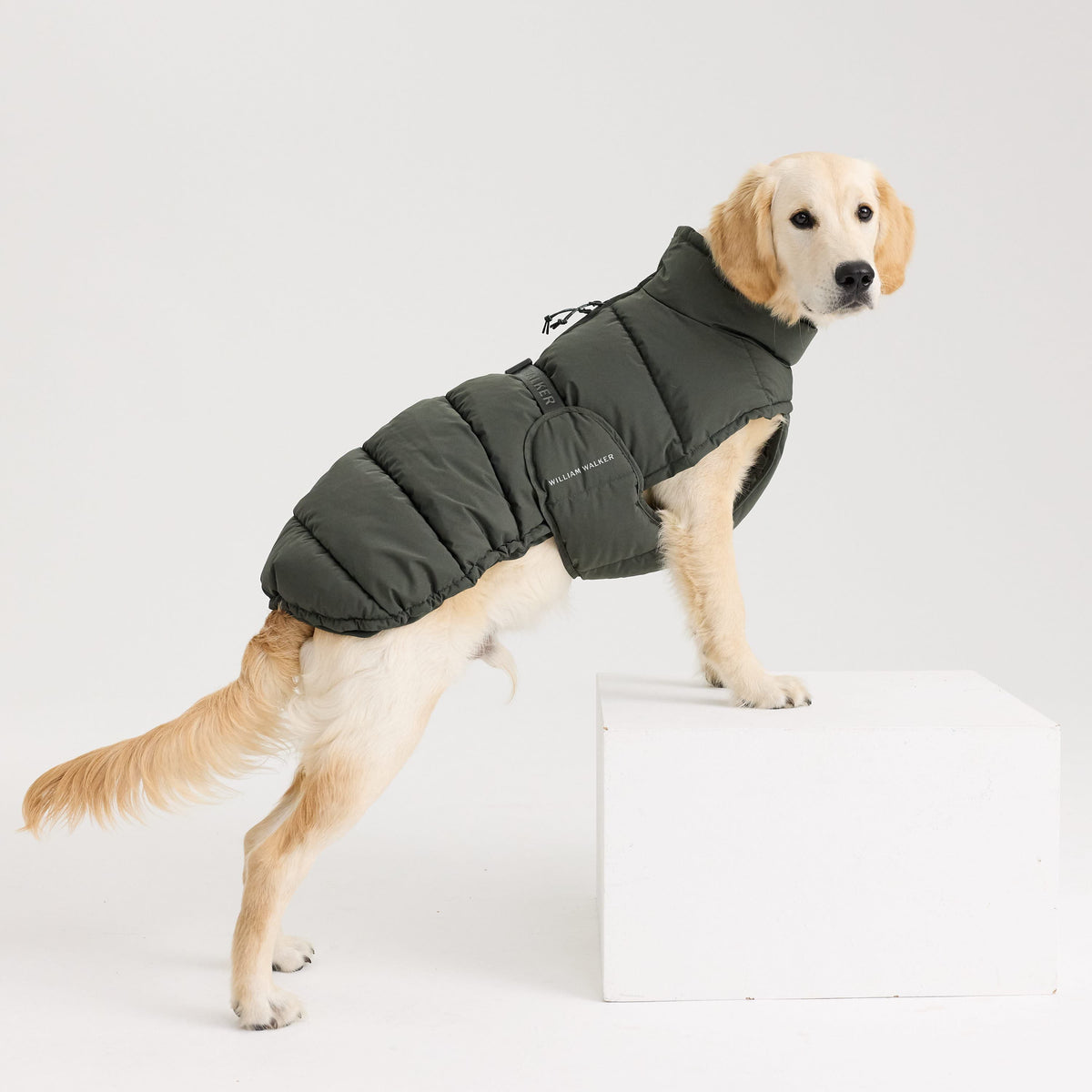 William Walker Warmer Winter Hundemantel Alpine